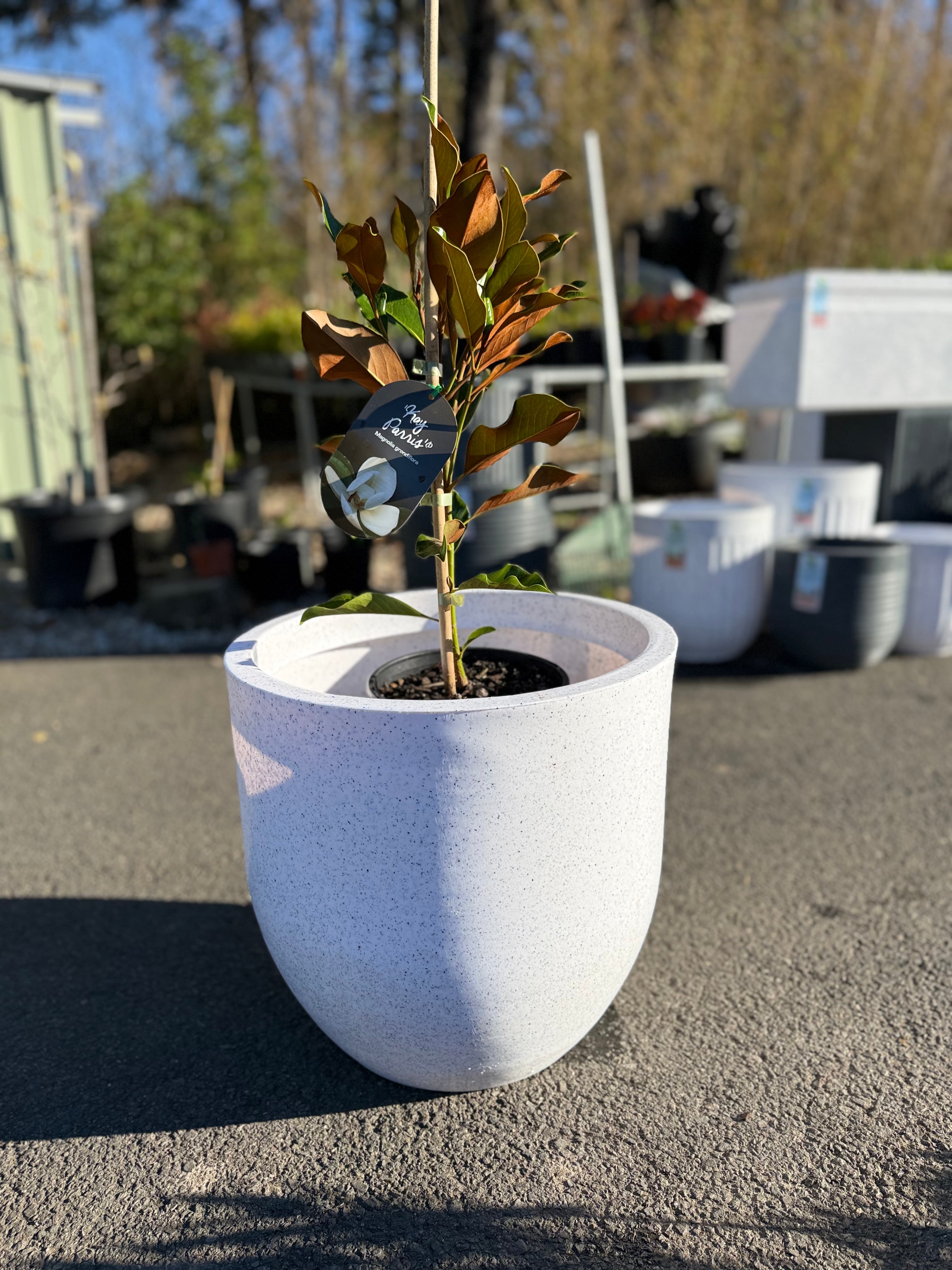 Pluto Planter Box (Small & Large)