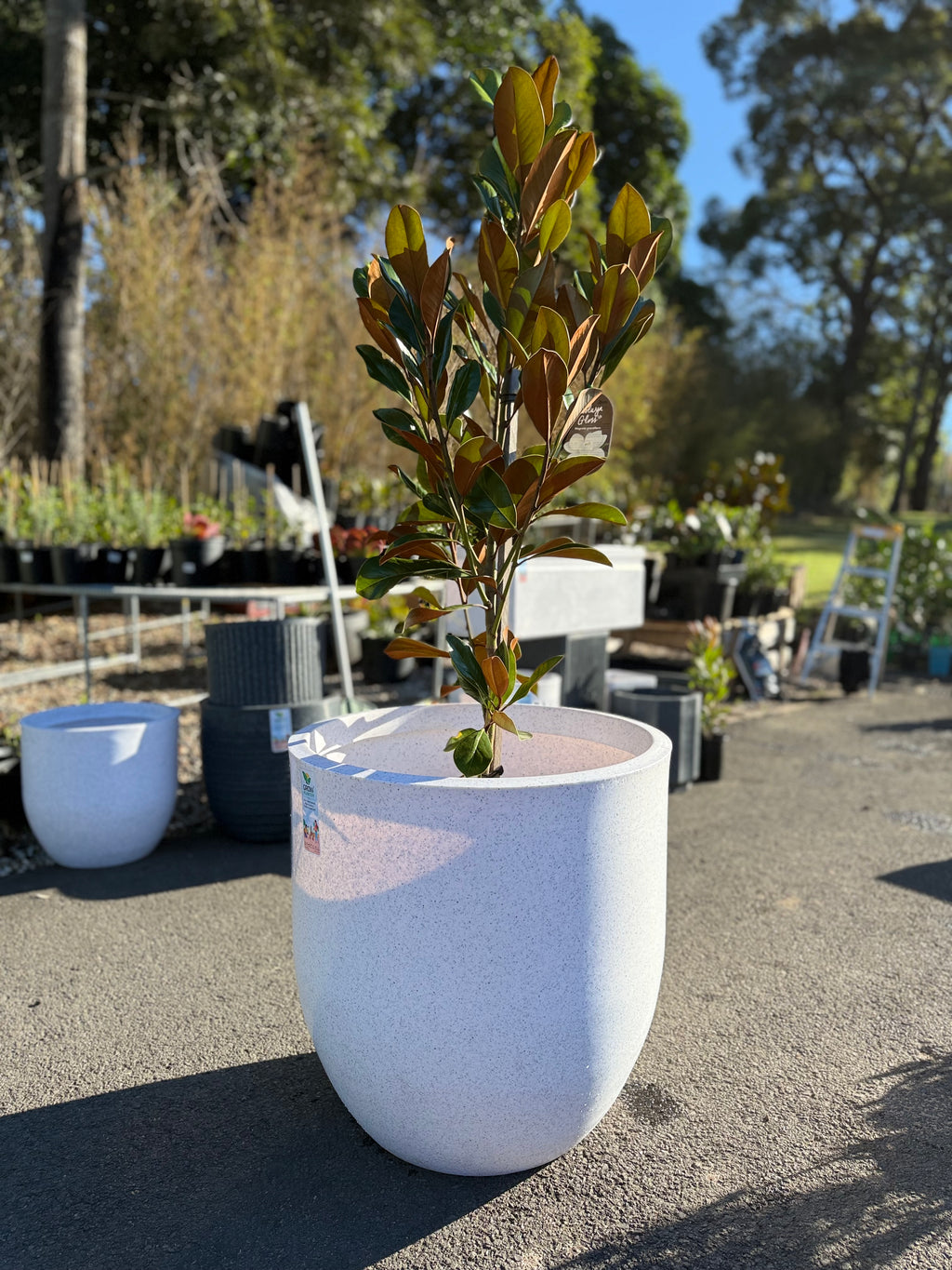 Pluto Planter Box (Small & Large)