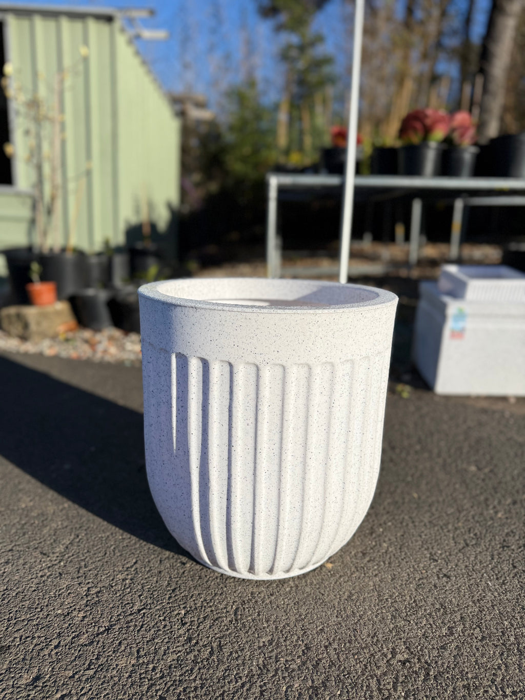 Egg Shaped Pot (Medium Size)
