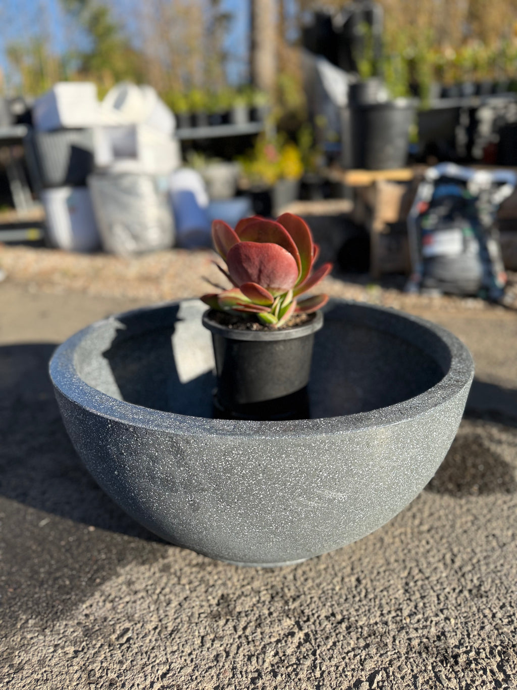 Bowl Planter Pot