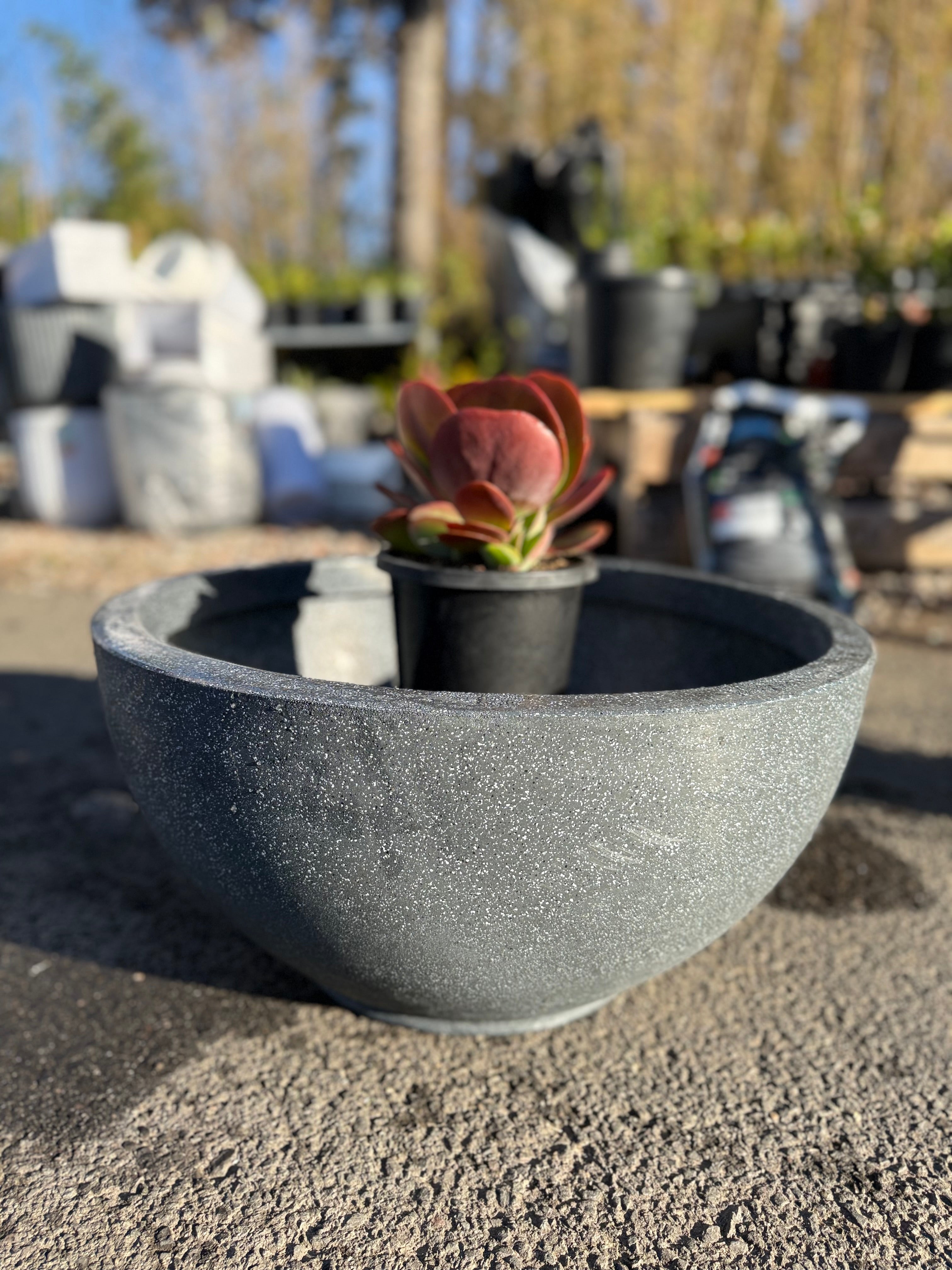 Bowl Planter Pot
