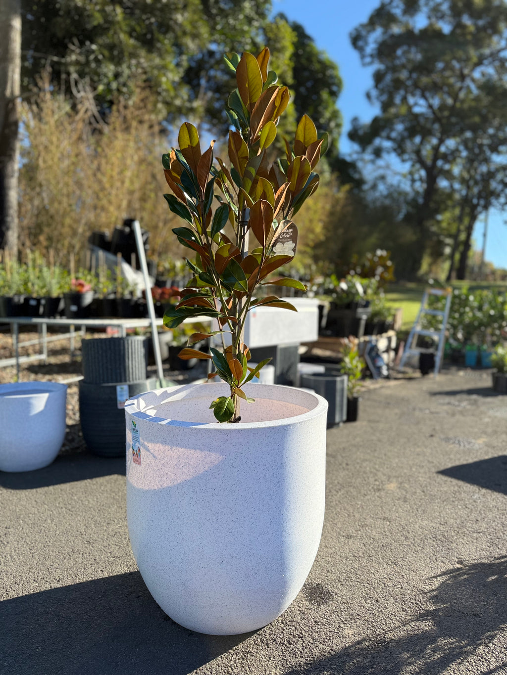 Pluto Planter Box (Small & Large)