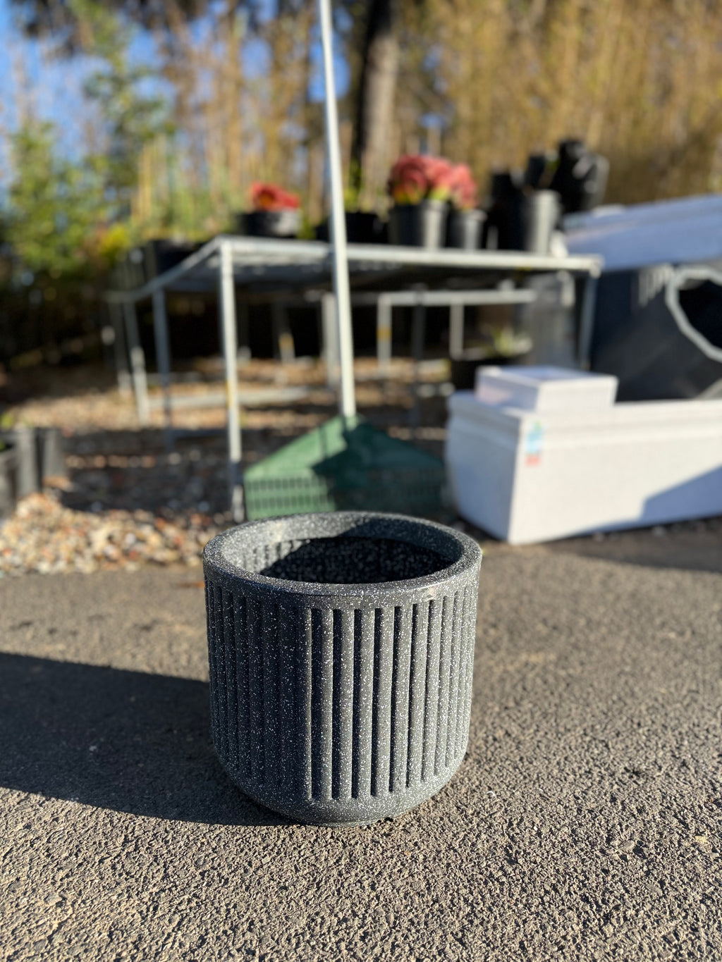 15inch Cosmic Pot (Small)