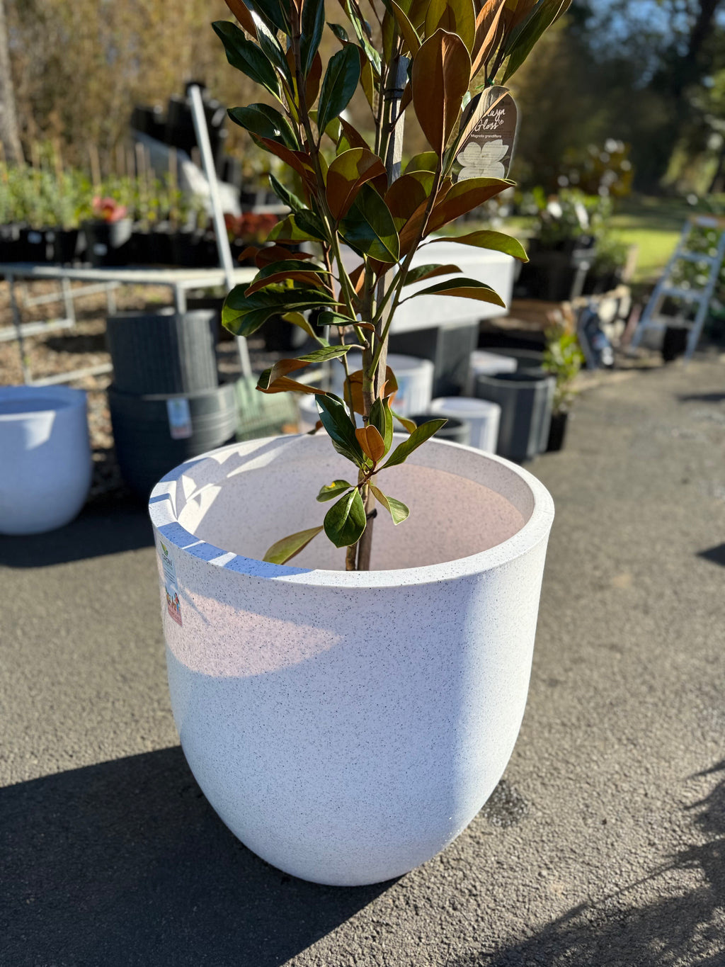 Pluto Planter Box (Small & Large)