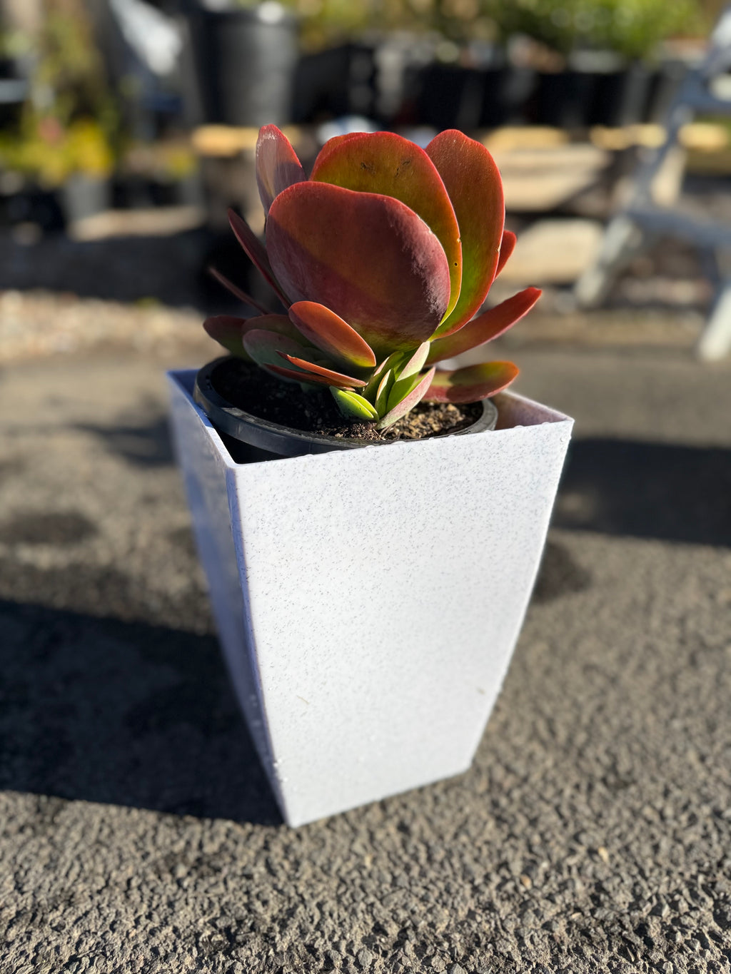 11inch Square Tower Planter Box