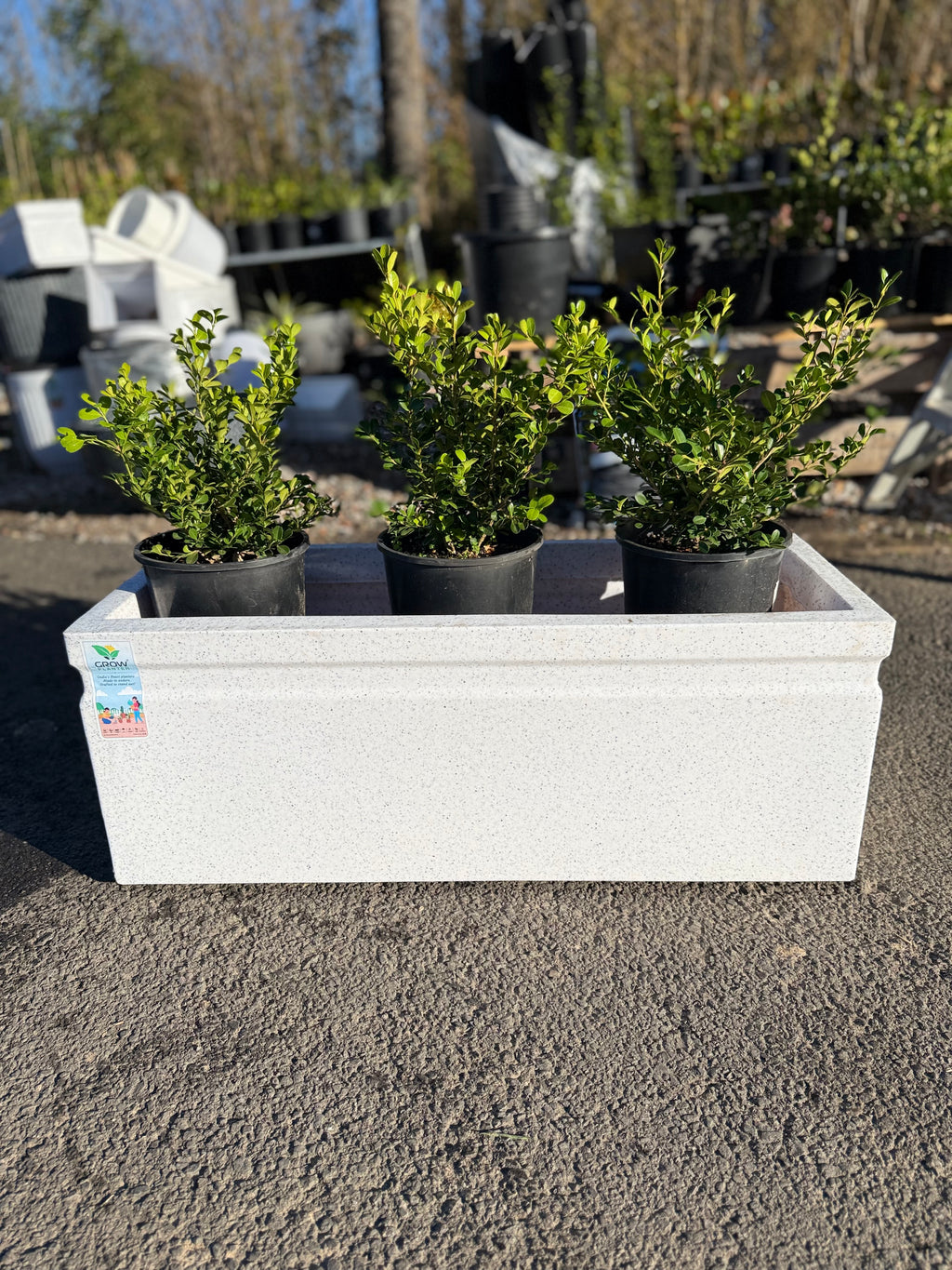 36Inch Window Box Planter