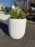 Egg Shaped Pot (Small Size)