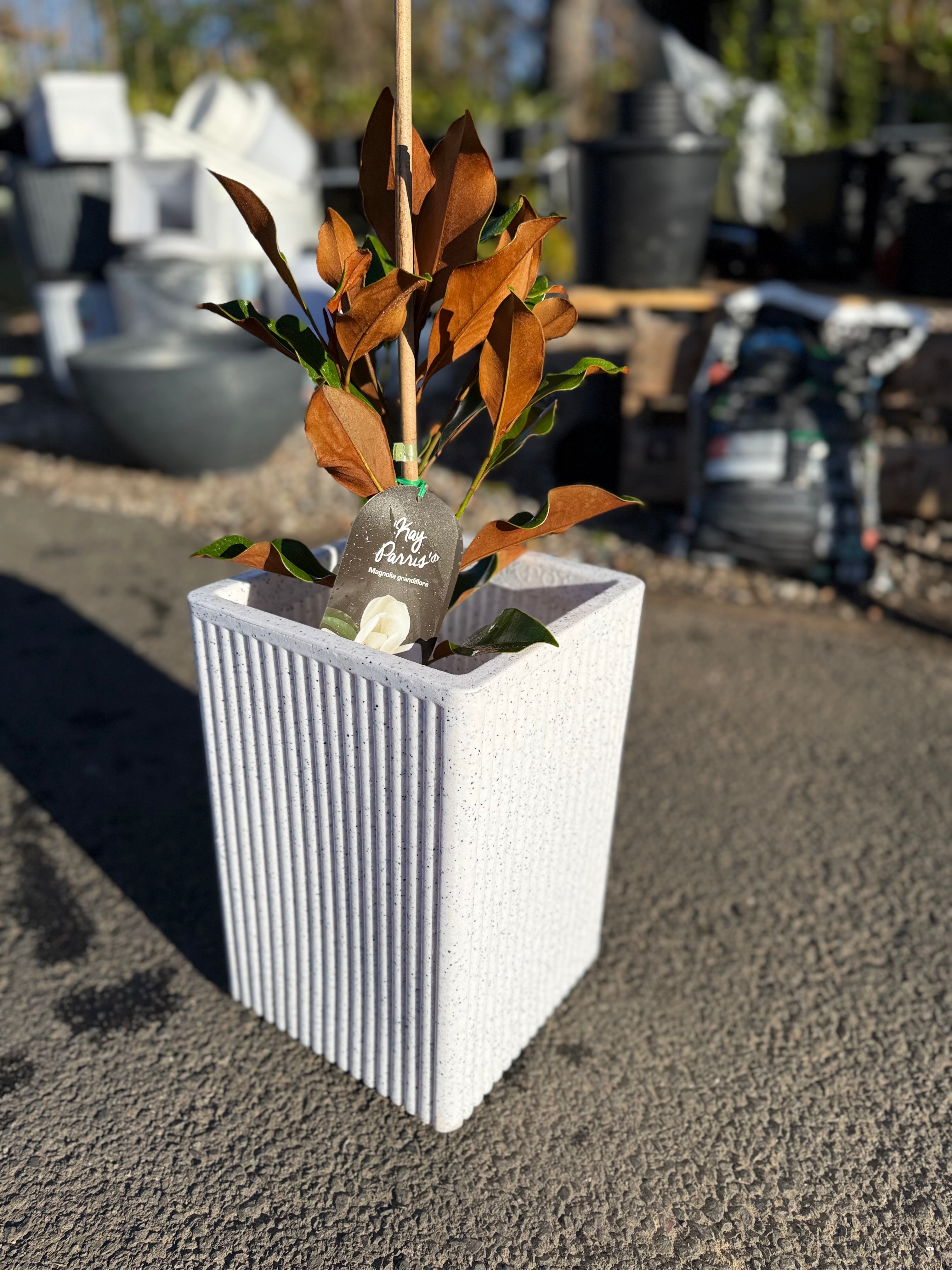 16 Inch Grak Rectangle Planter Box