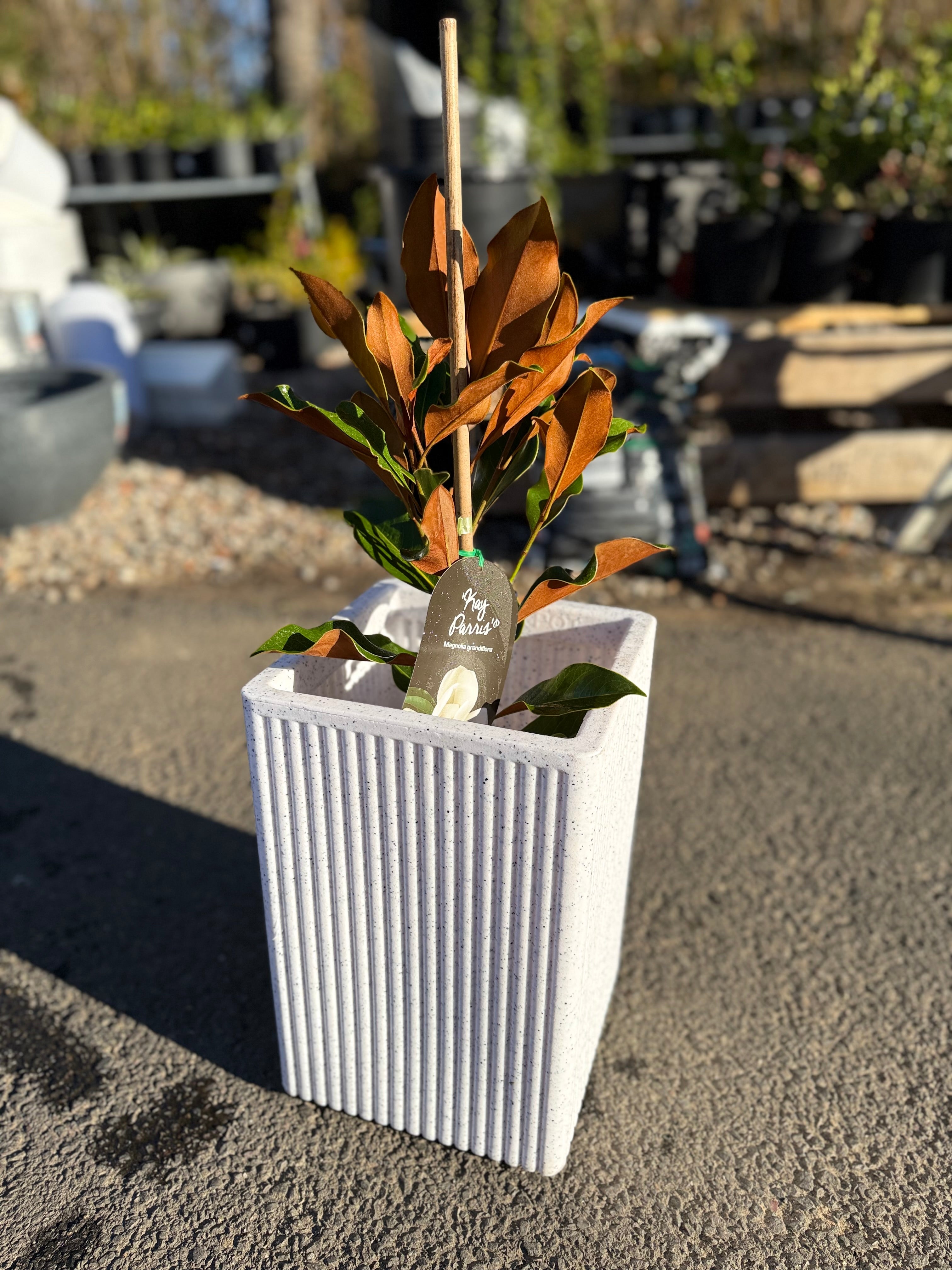 16 Inch Grak Rectangle Planter Box