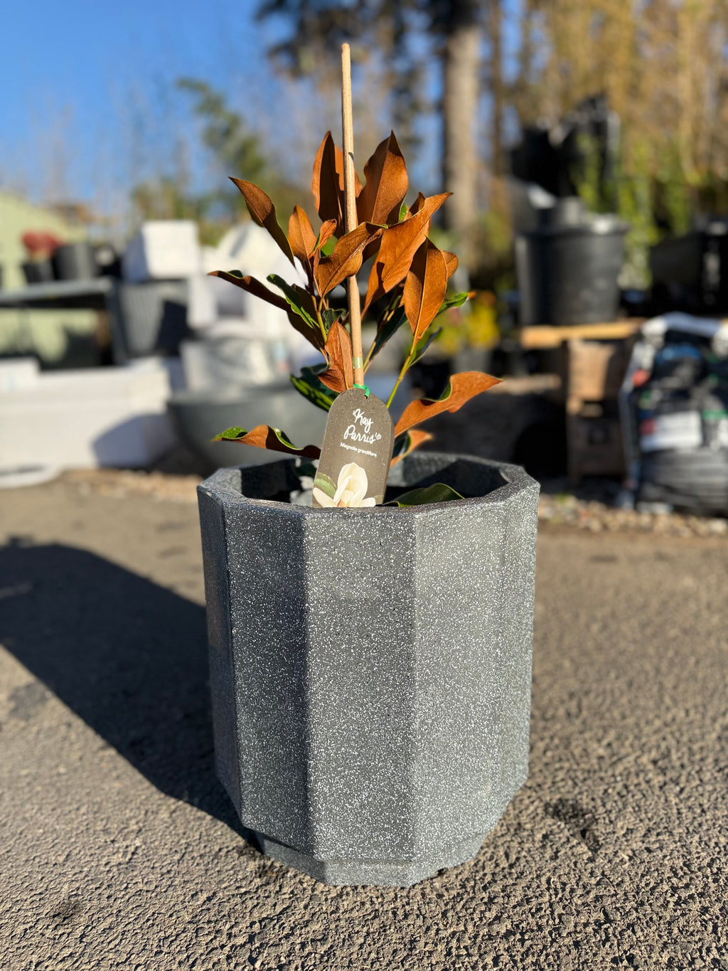 15 inch Sirroco Pot