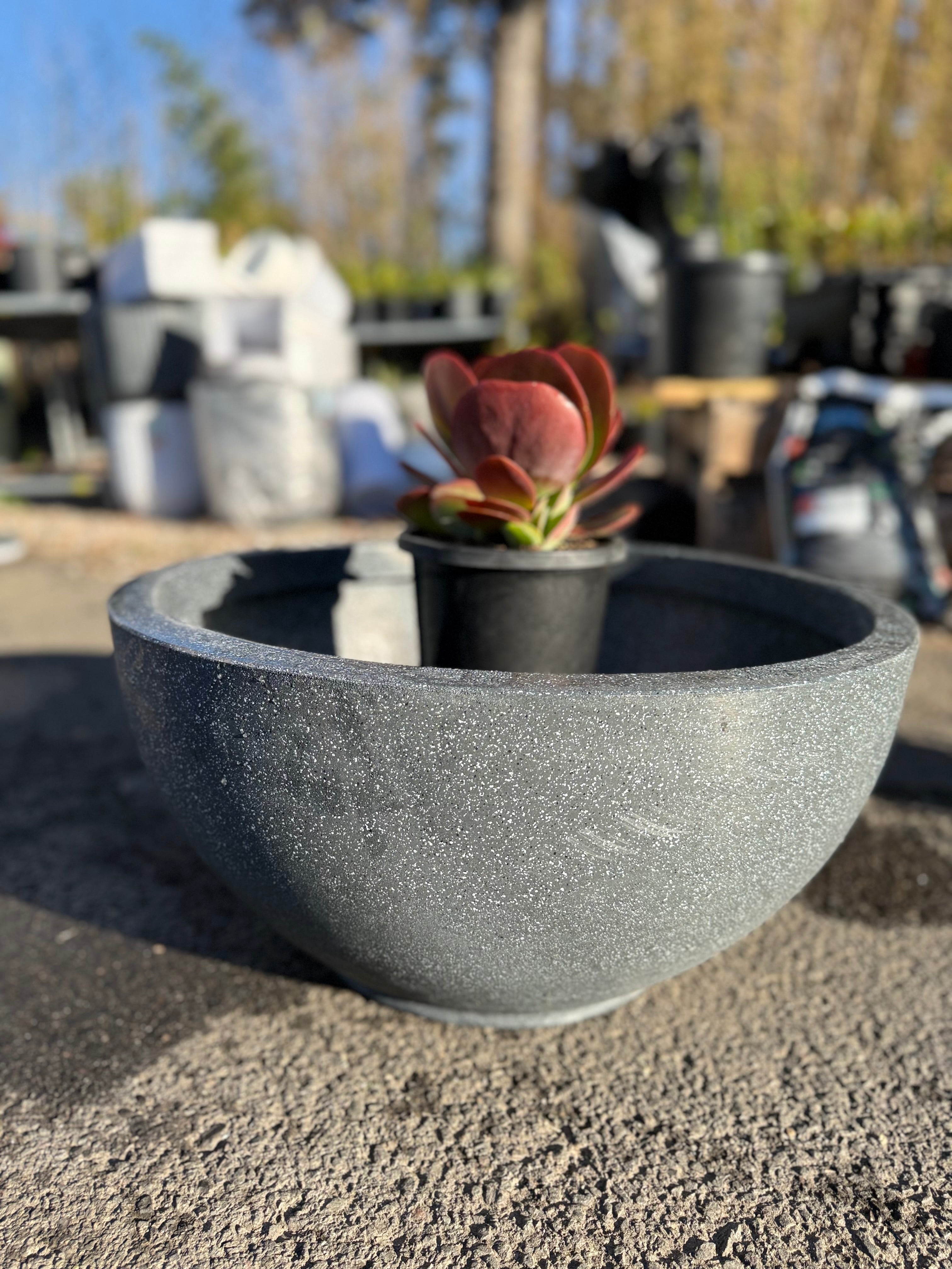 Bowl Planter Pot