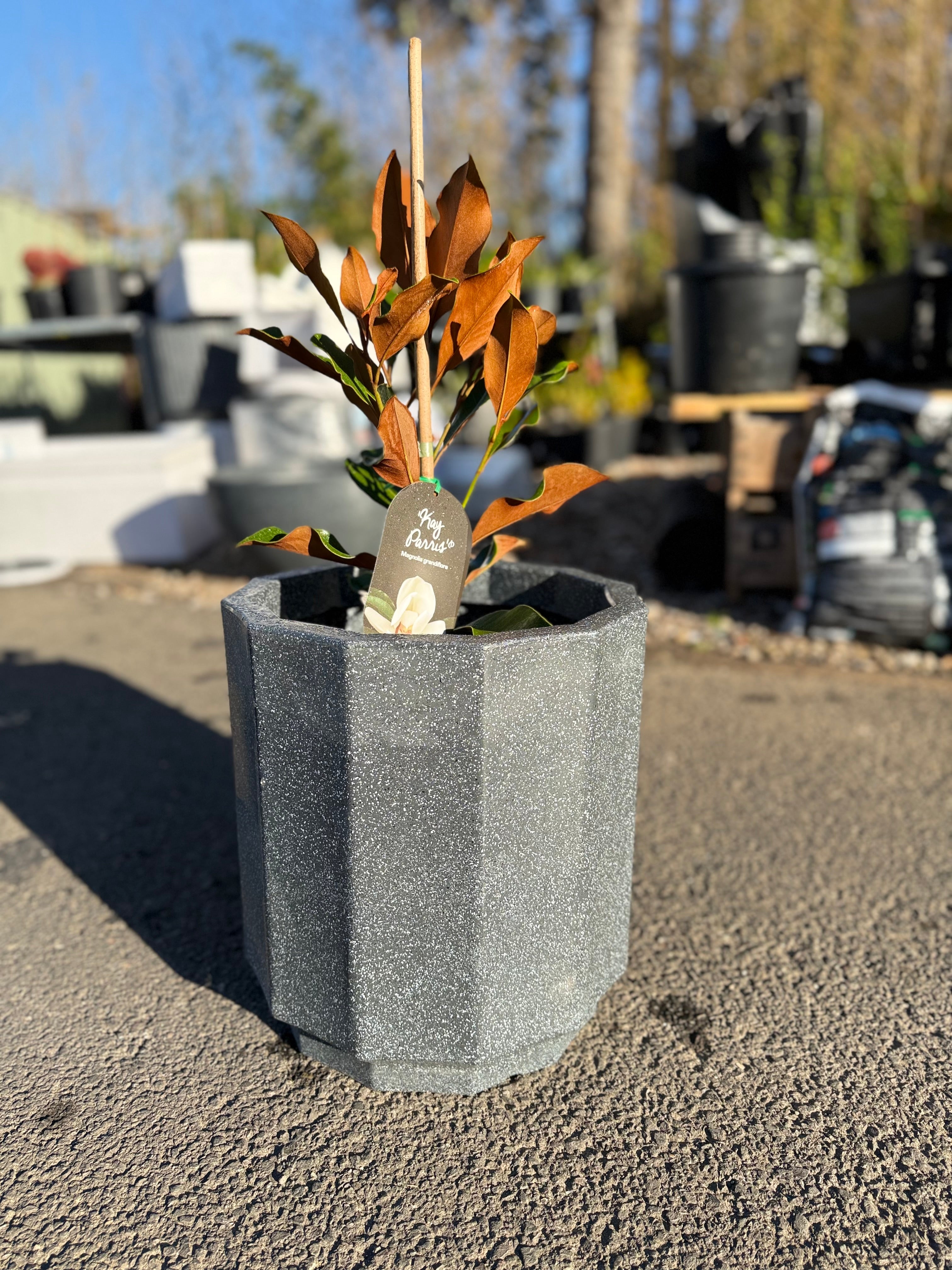 15 inch Sirroco Pot