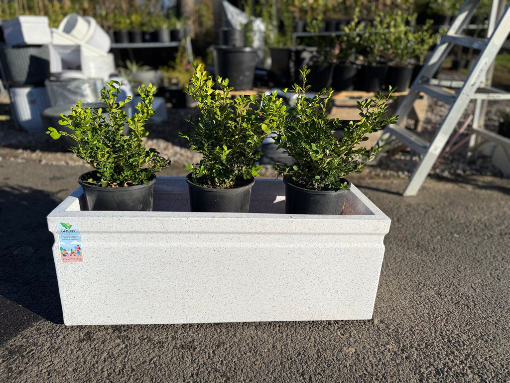 36Inch Window Box Planter