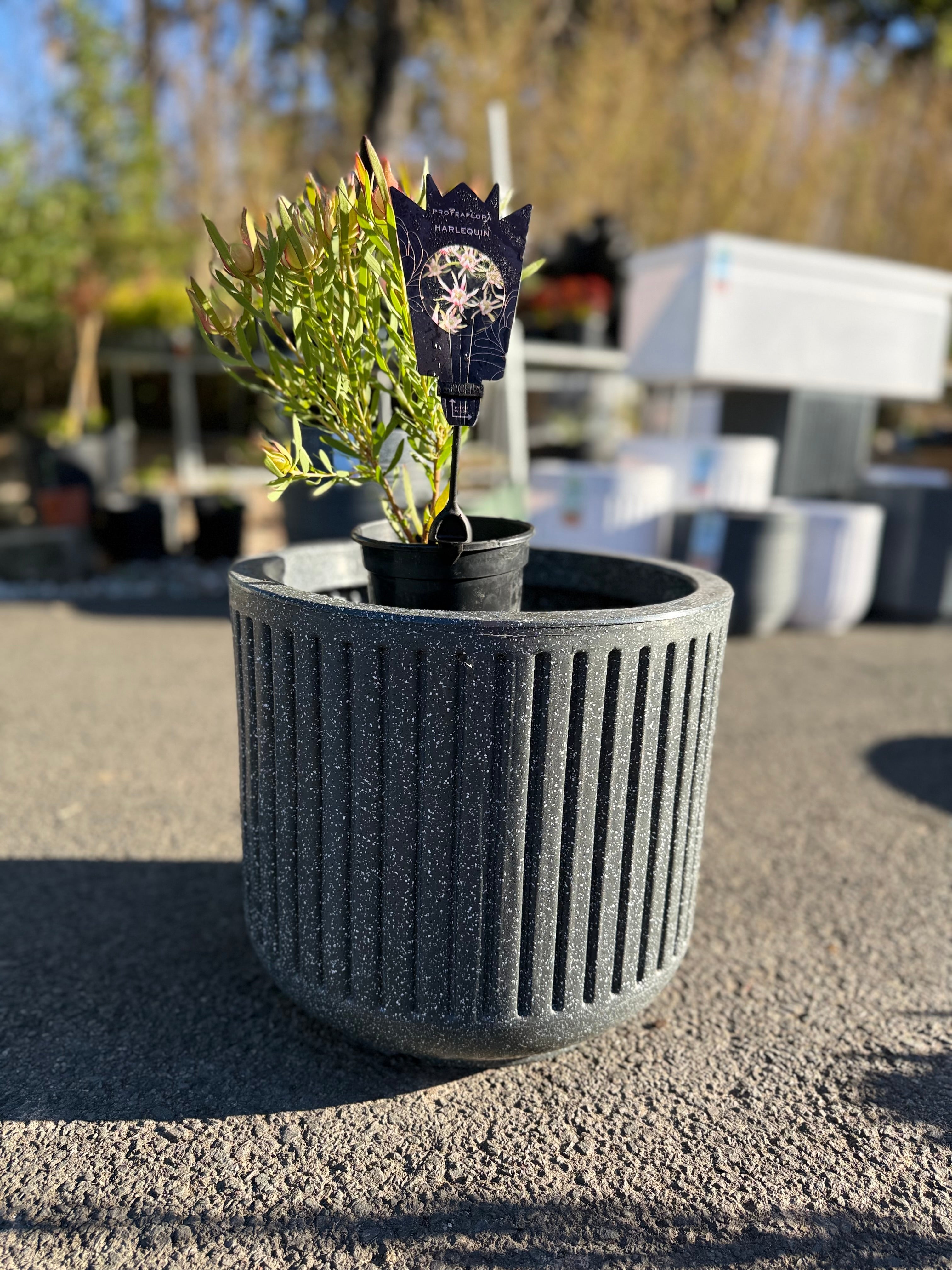 Large Cosmic Planter Pot