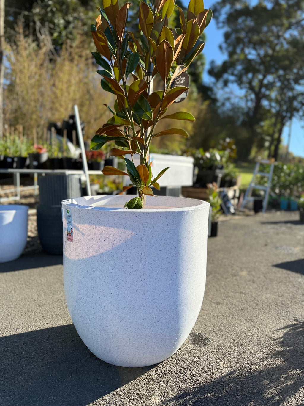 Pluto Planter Box (Small & Large)